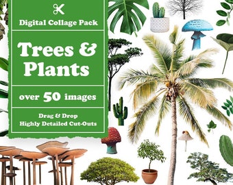Trees & Plants Collage Creator 100+ Images || Plants Digital Collage Maker || Plants Collage Creator for Photoshop || Plants Images