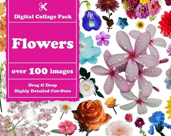 Flowers Collage Creator 100+ Images || Flowers Digital Collage Maker || Flowers Collage Creator for Photoshop and Procreate Collage Images