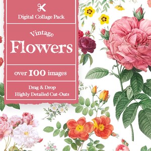 Vintage Flowers Collage Creator 100+ Images || Vintage Flowers Digital Collage Maker || Vintage Collage Elements | Collage Kit Vintage