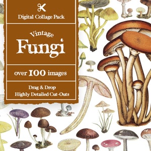Vintage Fungi Collage Creator 100+ Images || Vintage Mushrooms Digital Collage Maker || Vintage Collage Elements | Collage Kit Vintage