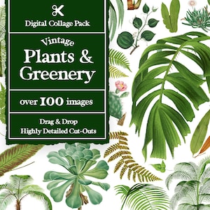 Creador de collage de plantas vintage Más de 100 imágenes // Creador de collage digital de plantas vintage // Elementos de collage de plantas vintage / Kit de collage vintage