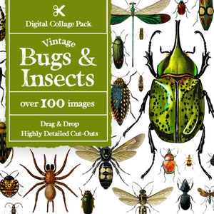 Vintage Bugs Collage Creator 100+ Images || Vintage Bugs Digital Collage Maker || Vintage Collage Elements Photoshop | Collage Kit Vintage