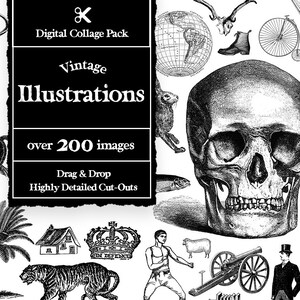 Vintage Illustrations Collage Creator 200+ Bilder | Vintage Illustrationen Digital Art Maker | Vintage Collage-Elemente | Collage-Kit Vintage