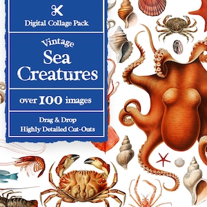Puede incluir: Un paquete de collage digital con más de 100 ilustraciones vintage de criaturas marinas. El paquete incluye recortes muy detallados de varias criaturas marinas, incluyendo un pulpo, cangrejos, camarones y conchas marinas. Las imágenes son perfectas para proyectos de manualidades, scrapbooking y diseño digital.