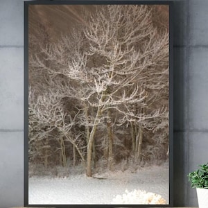 Sepia Print Poster - Snowy Landscape & Premium Tree, Nature Poster, Black/White Illustration, Vintage Style Wall Art, Retro Print