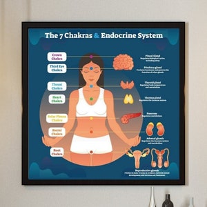 Póster impreso premium "Los 7 chakras y el sistema endocrino", Póster de meditación, Impresión de serenidad, Regalo de profesor de yoga