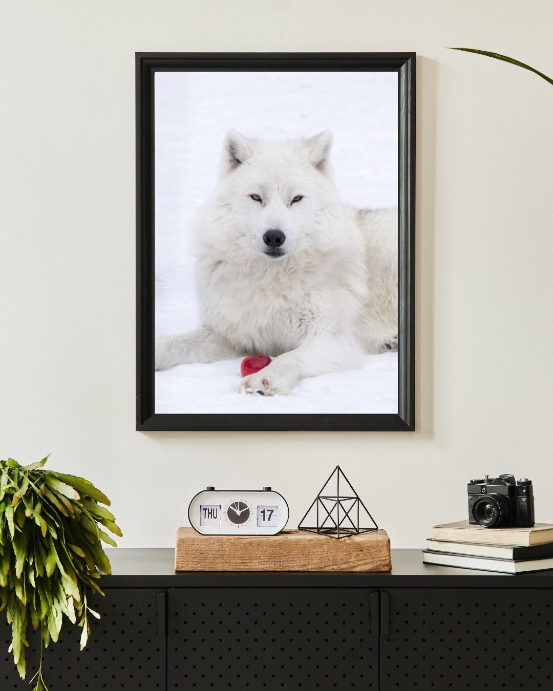 WHITE WOLF Printed Poster Quebec Canada Premium, Animal Poster