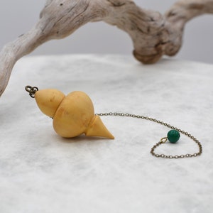 Peut inclure: Un pendule en bois avec une pointe pointue et une pierre précieuse verte sur la chaîne. Le pendule est suspendu à un morceau de bois flotté.
