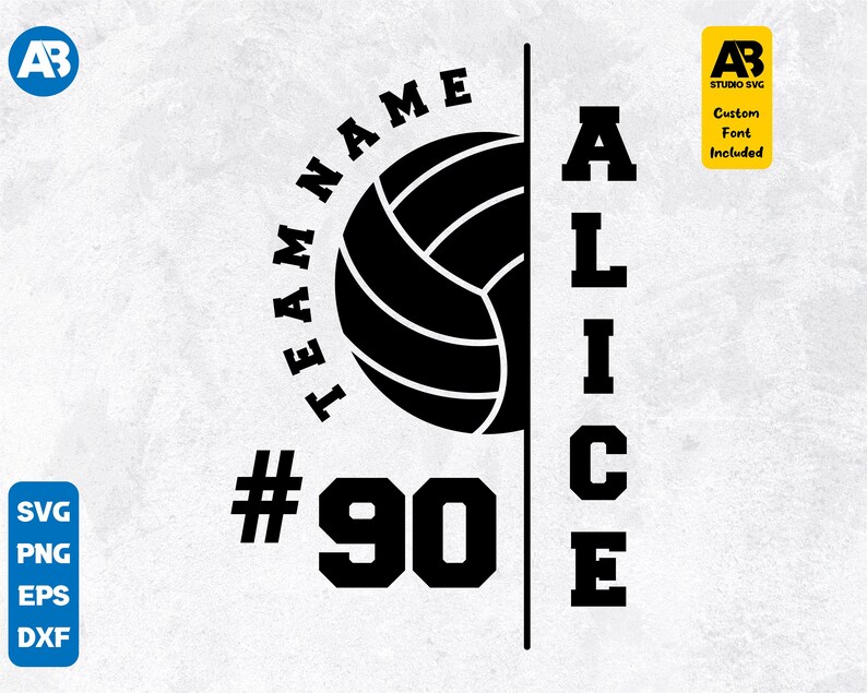 May include: Black and white volleyball graphic with the text "TEAM NAME #90 ALICE" in a vertical design. The volleyball is centered in the graphic and the text is on either side of the ball.