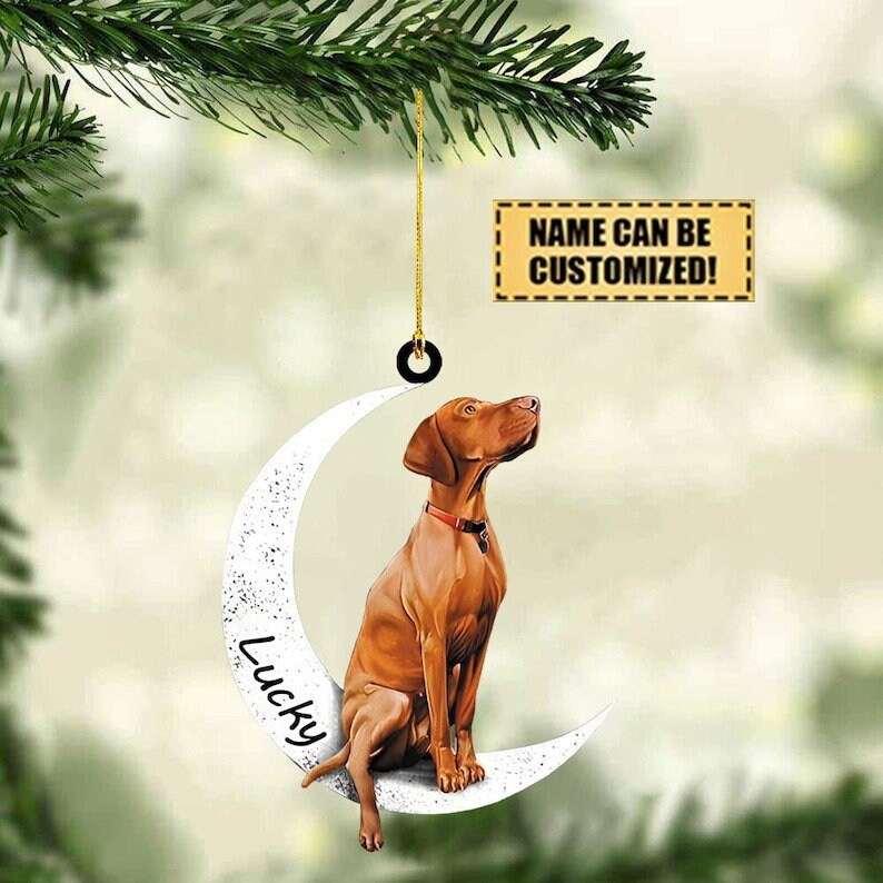 Vizsla dog keychain, stainless steel dog key chain, bag charm, pet  jewellery, keepsake, hungarian vizsla jewelry, animal, Christmas, gift