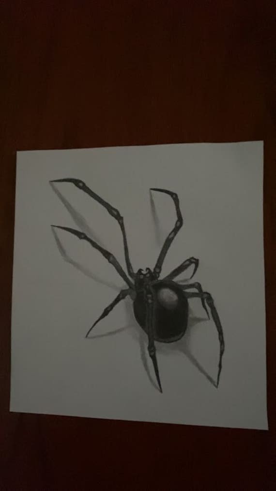 How awesome is this realistic spider drawing? It has been created by  @s_telle_vazzo using their Chameleon Pens! #chamel… | Spider drawing,  Creative art, Art lessons