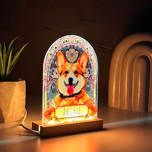 Corgi chia pet hotsell