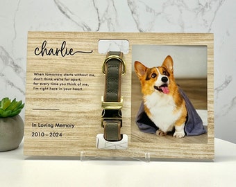 Memorial pet collar frame, Dog collar memorial frame, Dog passing gift, Rainbow bridge, Dog memorial photo frame, Pet remembrance gift
