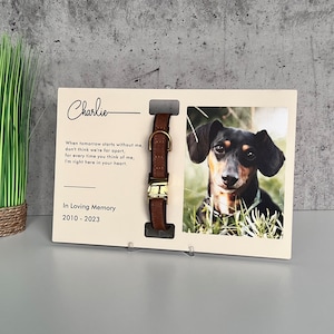 May include: A brown leather dog collar with a gold buckle and a photo of a black and brown dog. The card reads "Charlie" and "In Loving Memory 2010-2023".