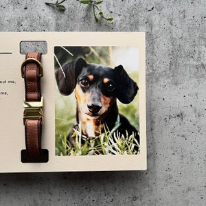 Gepersonaliseerd huisdier herdenkingslijst, herdenkingsdisplay, kraagdisplay, aangepaste huisdier herdenkingsfotolijst met kraaghouder, vaderdagcadeau afbeelding 3