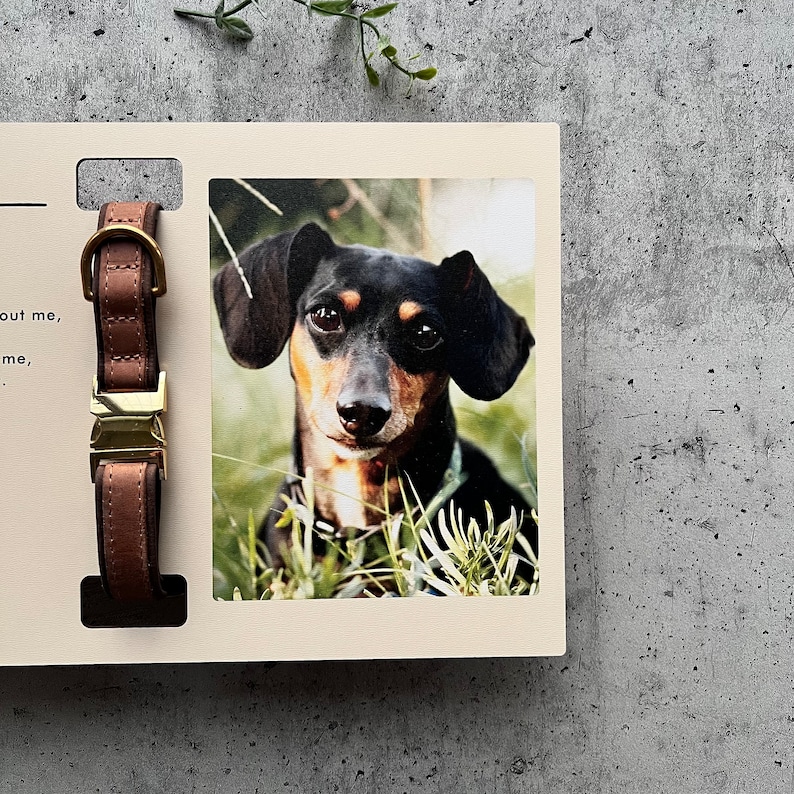 Gepersonaliseerd huisdier herdenkingslijst, herdenkingsdisplay, kraagdisplay, aangepaste huisdier herdenkingsfotolijst met kraaghouder, vaderdagcadeau afbeelding 3