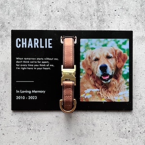 Gepersonaliseerd huisdier herdenkingslijst, herdenkingsdisplay, kraagdisplay, aangepaste huisdier herdenkingsfotolijst met kraaghouder, vaderdagcadeau afbeelding 7