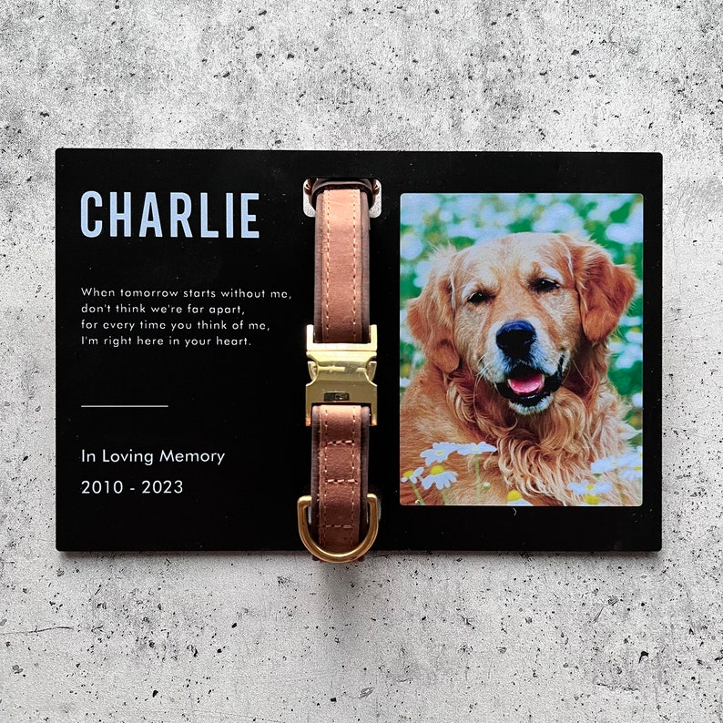 Gepersonaliseerd huisdier herdenkingslijst, herdenkingsdisplay, kraagdisplay, aangepaste huisdier herdenkingsfotolijst met kraaghouder, vaderdagcadeau afbeelding 7