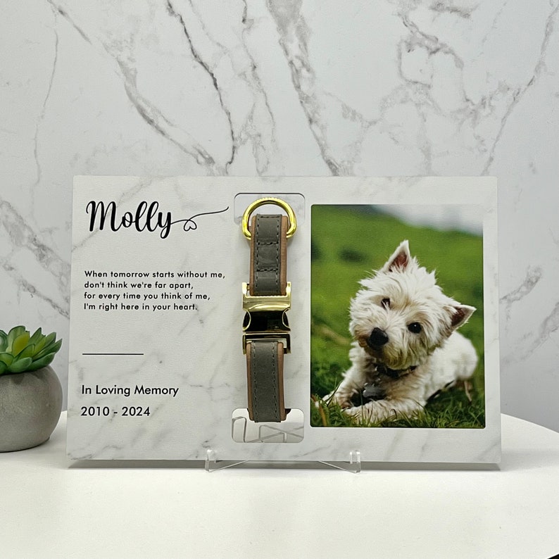 Gepersonaliseerd huisdier herdenkingslijst, herdenkingsdisplay, kraagdisplay, aangepaste huisdier herdenkingsfotolijst met kraaghouder, vaderdagcadeau Marble