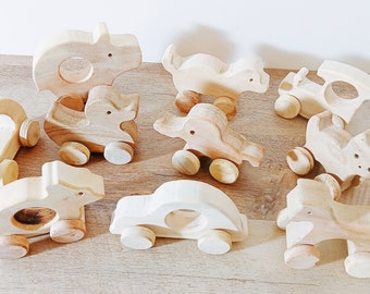 Pack of 10 Beautiful Push & Pull Toys for Toddlers - Made from Sustainable Neem Wood