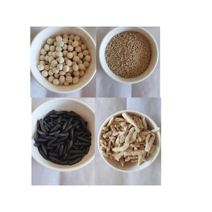 Può includere: Quattro ciotole bianche riempite con diversi tipi di cibo. La ciotola in alto a sinistra contiene piccole palline bianche, la ciotola in alto a destra contiene piccoli semi marroni, la ciotola in basso a sinistra contiene pasta nera e la ciotola in basso a destra contiene piccoli pezzi di cibo beige.