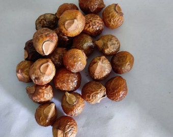 Soapnut - Ritha - Aritha - Sapindus Mukorossi - Reetha Herbs