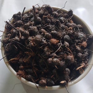 Puede incluir: Un cuenco de cerámica blanco lleno de raíces bulbosas secas, de color marrón oscuro, y tallos finos y fibrosos. Las raíces tienen un aspecto texturizado, y el cuenco está sobre un fondo blanco liso. El contenido parece ser un producto natural.