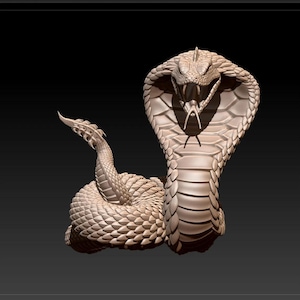Può includere: Scultura dettagliata di un cobra in posizione arrotolata. Il serpente è beige chiaro con bocca aperta, zanne e cappuccio svasato. La scultura ha un aspetto strutturato e squamoso, su sfondo scuro.