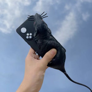 Étui pour téléphone avec décompression Big Rat pour iPhone 16e 16 15 14 13 12 Pro Max, iPhone 16 15 14 13 12 11 Pro, étui pour iPhone
