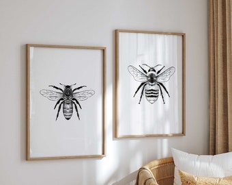 Honey Bee and Bumble Bee Poster  - Printable Poster Set of 2 - Vintage Honey Bee Print - Vintage Bumble Bee Print - Insect Wall Art