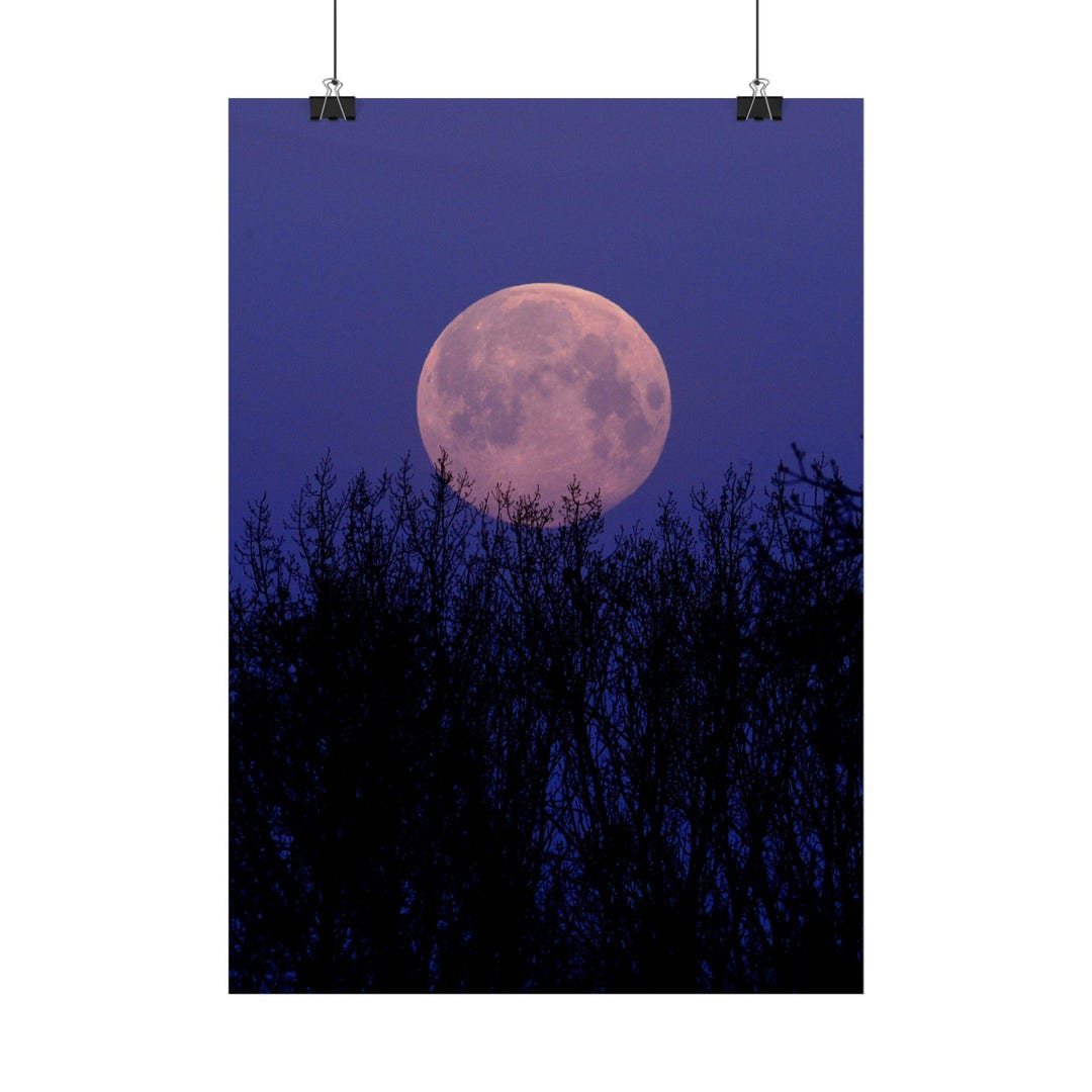 Celestial Moon Forest Poster | Night Sky Lunar Art, Starry Silhouette ...