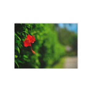 Red Flower among green - Holiday Cards (One-sided print)