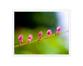 Blumen in der Blüte - Poster mit Holzrahmen