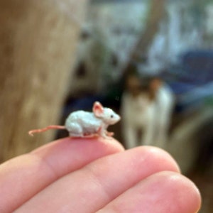 Könnte beinhalten: Eine kleine weiße Maus mit rosa Ohren und einem langen Schwanz sitzt auf einem Finger.