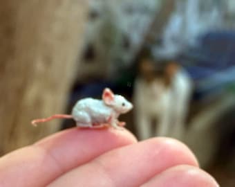 Miniature white mouse, 1:12 Scale and 3D printed