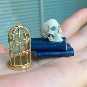 May include: A small gold birdcage sits next to a white skull resting on top of two navy blue books.
