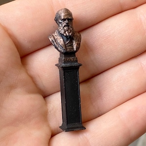 May include: A small bronze bust of a man with a beard on a black pedestal. The bust is of a famous scientist.