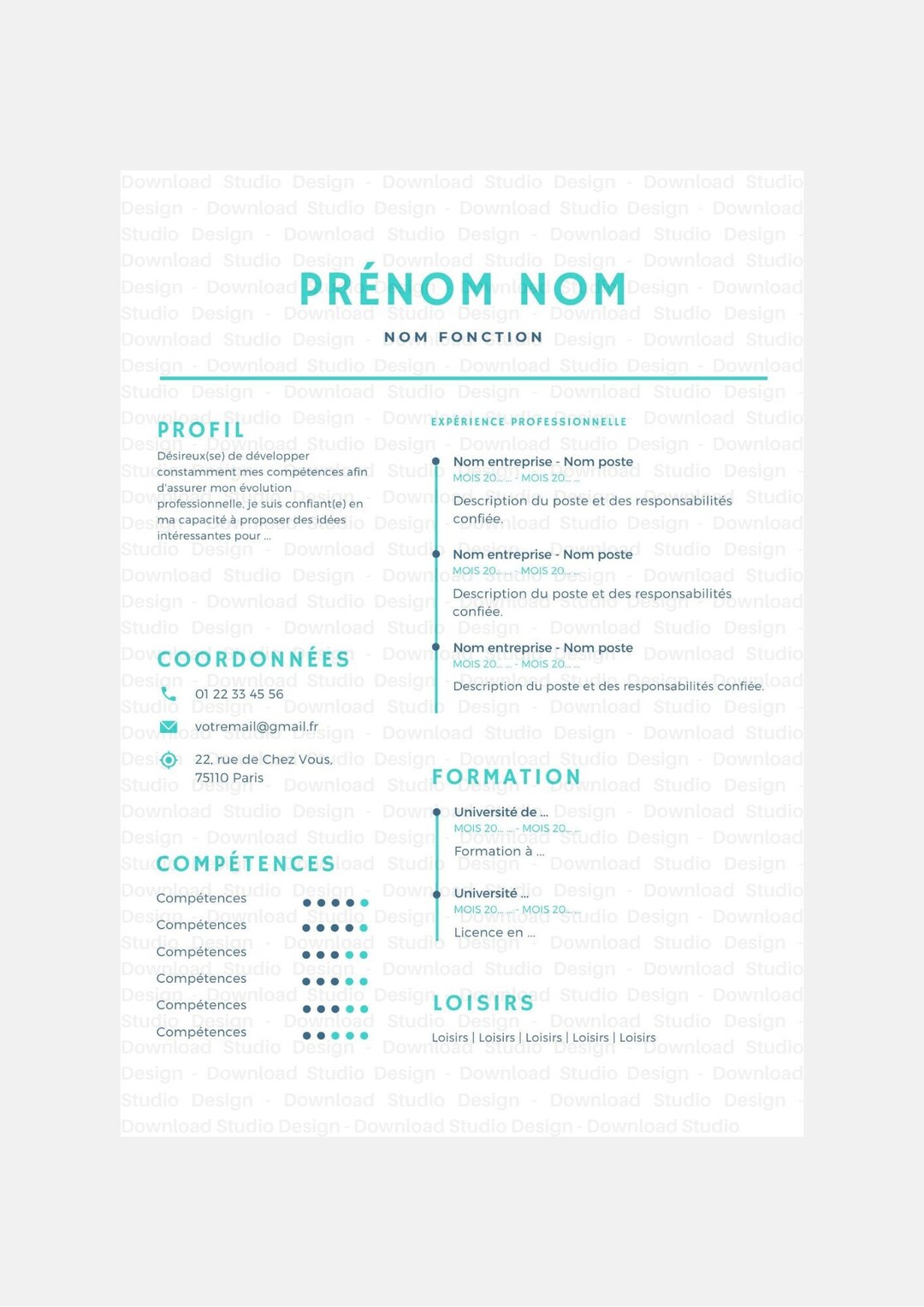 Modèle De CV Professionnel Format PDF éditable - Etsy