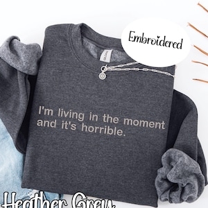 funny meme dark humor embroidered sweater, sarcastic sassy sayings hoodie gift ideas for gen z and millennials, funny humor pullover adult