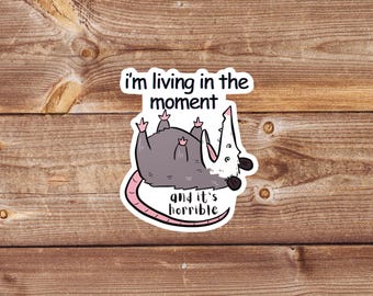 Angry Screaming Opossum Meme Sticker: Water Resistant Vinyl