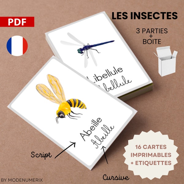 Jeu d'apprentissage INSECTES Apprend à lire en jouant cartes ludiques imprimables pdf, fiche d'activité montessori préscolaire, nomenclature