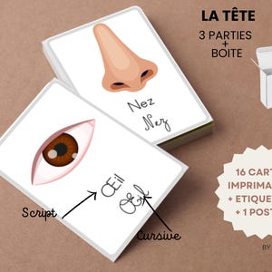 THE HEAD Franse leerkaarten - 16 Montessorikaarten + printbare doos + labels 3 delen pdf + Hoofdanatomieposter