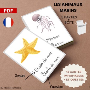 Cartes d'apprentissage ANIMAUX MARINS apprend à lire en jouant cartes ludiques imprimables, flashcards, pdf