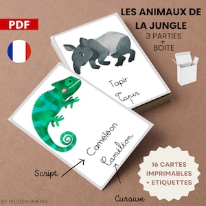 Jeu apprentissage ANIMAUX de la JUNGLE apprend à lire en jouant cartes montessori imprimables, PDF