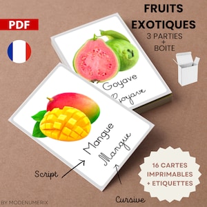 Jeu de cartes FRUITS EXOTIQUES Apprend à lire en jouant, cartes montessori ludiques et boîte imprimables pdf, fiche d'activité préscolaire