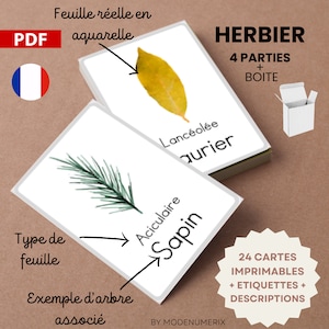 HERBIER Montessori 24 cartes nomenclature FEUILLES des plantes et arbres - cartes + BOITE à imprimer pdf - éducation vocabulaire riche