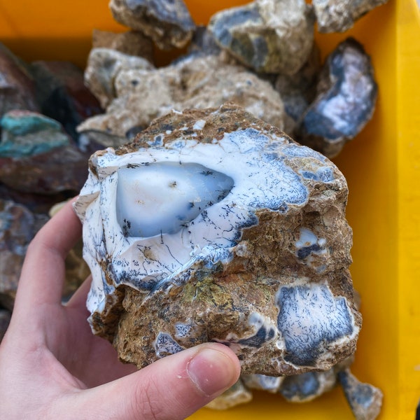 Venta al por mayor de piedra de ópalo dendrítico turco en bruto, ramas de árbol de dendrita de piedra de ópalo en el interior (700 GRAMOS)