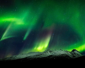 May include: A vibrant green aurora borealis display fills the night sky above a snow-capped mountain range. The aurora is a natural light show caused by charged particles from the sun interacting with the Earth's atmosphere.