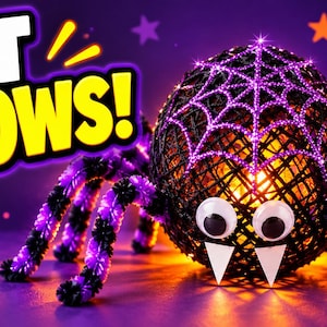 May include: A round spider decoration made of black string with a purple web pattern on top. It features two large googly eyes, two white triangular fangs, and eight fuzzy purple and black striped legs. The text IT GLOWS! appears in yellow.