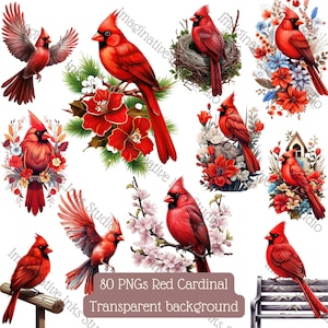 Red Cardinal Clipart PNG Cardinal Bird Boho Flower Red Cardinal Christmas Clipart Bird Cardinal Gift Lovely Cardinal Birding Gift Cardinal